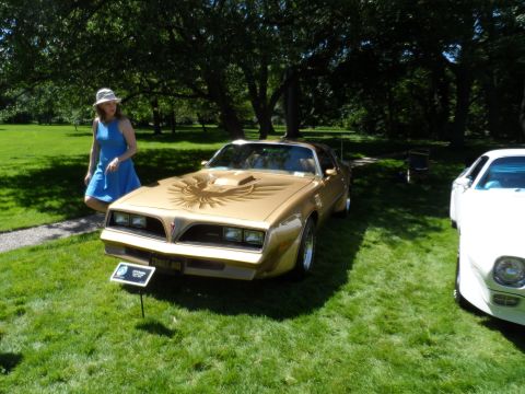 1971 Ford Ranchero - A gold 1977 Pontiac Firebird Trans Am is displayed on a grassy lawn next to another vehicle.
