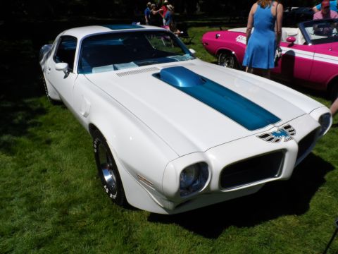 1971 Ford Ranchero - White 1971 Pontiac Firebird Trans Am with blue racing stripes and hood scoop.