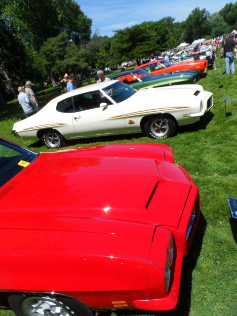 1971 Ford Ranchero - Several classic cars are lined up on a grassy field under a sunny sky.