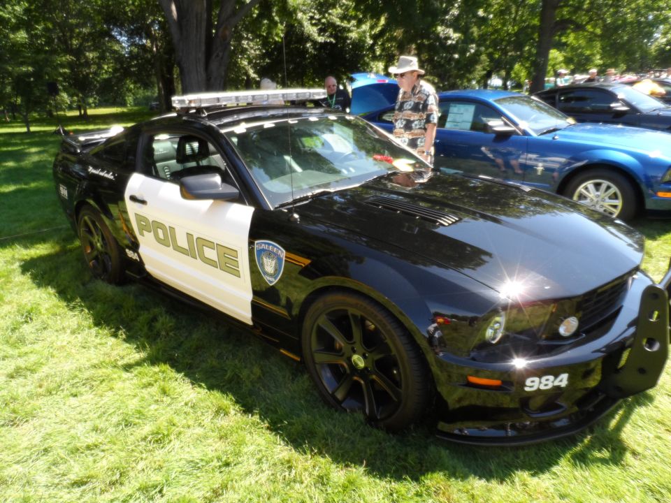 Police car with light bar and push bumper, parked on grass next to other cars