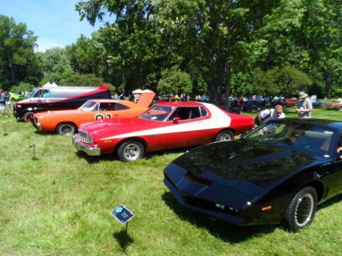 1971 Ford Ranchero - A collection of iconic vehicles are displayed on a grassy field under a canopy of trees on a sunny day.