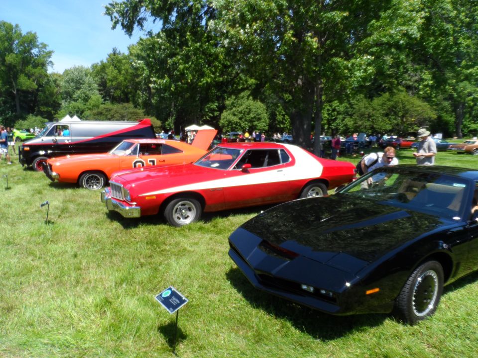 Several classic cars parked on grass, including a black car with a distinctive front end, a red and white car, and an orange car with '01' on the door