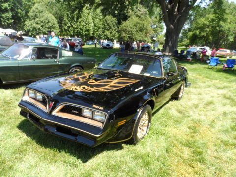 1971 Ford Ranchero - A black 1977 Pontiac Trans Am with gold accents is displayed outdoors next to a green car.