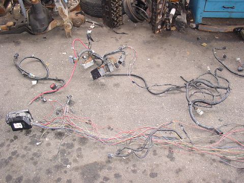 1992 Ford Crown Victoria - A complex engine wiring harness lies on the ground, its many wires and connectors clearly visible.