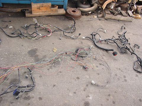 1992 Ford Crown Victoria - Multiple engine wiring harnesses are laid out on the ground, with various connectors and colored wires visible.