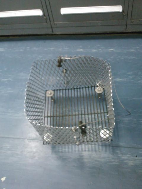 2008 Ford F-250 - A metal wire basket is shown from a top-down perspective on a reflective blue surface.