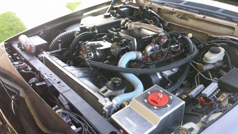2003 Ford Crown Victoria - Engine bay showing an intake plenum, light-blue silicone coolant hose, aluminum tank and a red-capped fitting.