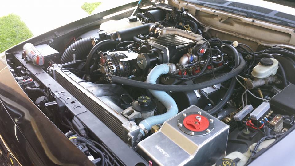 Engine bay with intake plenum and light-blue coolant hose