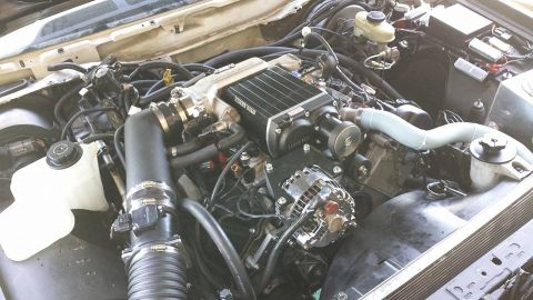 2003 Ford Crown Victoria - Engine compartment showing a black supercharger, alternator and a light-blue silicone coolant hose routed across the bay.