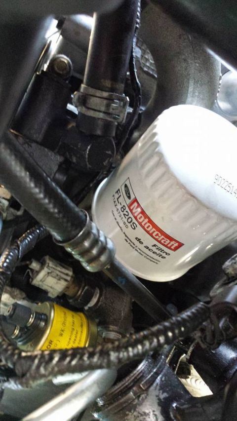 2003 Ford Crown Victoria - Close-up of a white Motorcraft FL-820S oil filter screwed onto the engine block near hoses and a yellow-label component.