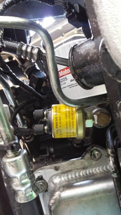2003 Ford Crown Victoria - Close-up of a yellow-labeled Motorcraft oil pressure sensor and oil filter mounted low on the engine.