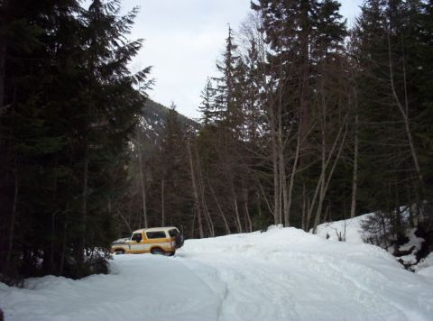 1982 Ford Bronco - A yellow and white 1982 Ford Bronco navigates a snow-covered road through a forest.