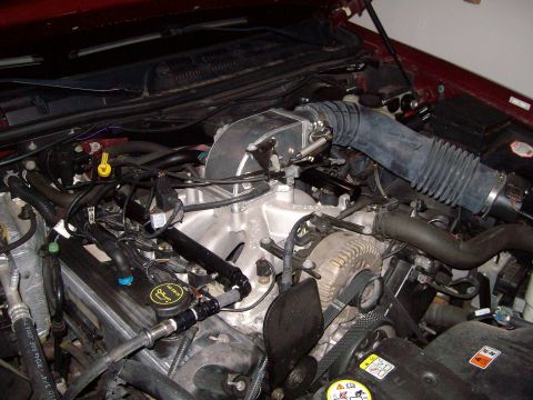 2004 Ford Crown Victoria - Custom intake system installed in the engine bay.