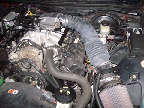 2004 Ford Crown Victoria - Close-up view of a vehicle's engine bay, showing various components and hoses.