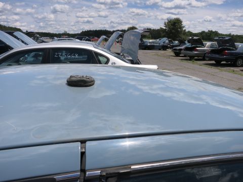 1991 Ford LTD Crown Victoria - A light blue car's roof is in the foreground, with a black antenna base visible. Other vehicles are parked in a lot under a cloudy sky.