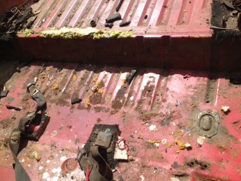 1978 Ford Bronco - The interior floor of a vehicle shows signs of wear, rust, and debris, with seatbelt anchors visible.