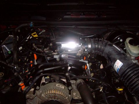2004 Ford Crown Victoria - Close-up view of a vehicle's engine bay, showing complex wiring and plumbing.