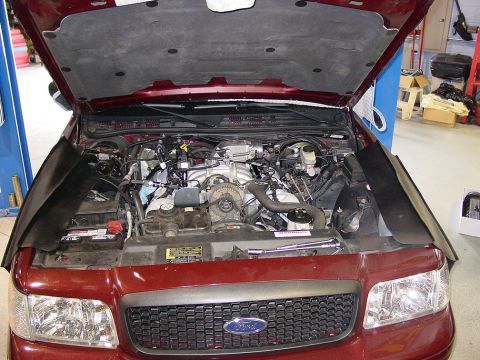 2004 Ford Crown Victoria - The engine bay of a red 2004 Ford Crown Victoria is shown with the hood open.