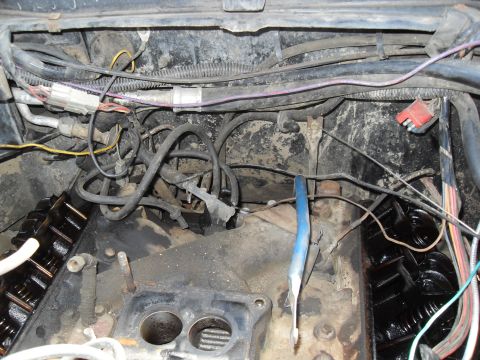 1979 Ford Bronco - Close-up view of engine bay components, including wiring harnesses and hoses.