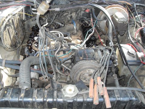 1979 Ford Bronco - Engine bay detail showing V8 engine components and radiator.