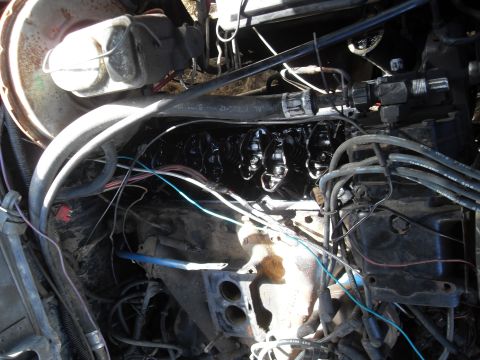 1979 Ford Bronco - Close-up view of an engine bay, showing various mechanical components and wiring harnesses.