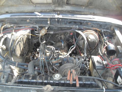1979 Ford Bronco - The engine bay of a vehicle, showing a complex arrangement of wires, hoses, and engine parts.