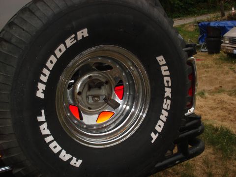 1979 Ford Bronco - Spare tire with raised white lettering is mounted on the rear bumper of a vehicle.