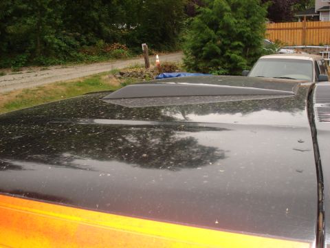 1979 Ford Bronco - A close-up of a black hood scoop on a vehicle with orange accents, with another vehicle visible in the background.