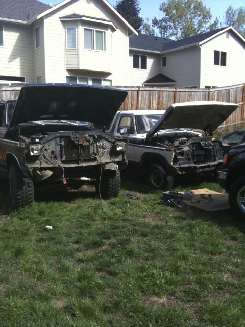 1979 Ford Bronco - Two SUVs are parked in a grassy yard with their hoods open, suggesting they are undergoing maintenance or repair.