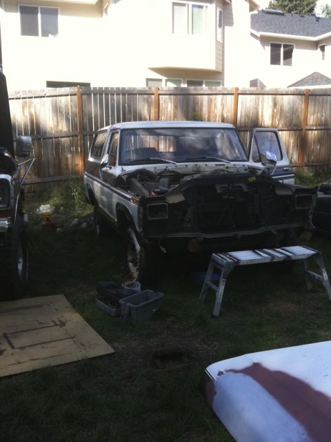 1979 Ford Bronco - A two-tone Ford Bronco is parked in a grassy yard with its hood up, appearing to be undergoing maintenance.
