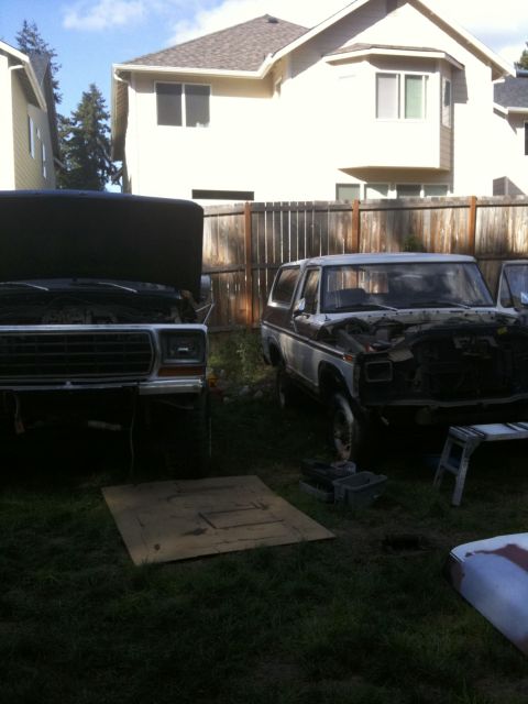 1979 Ford Bronco - Two Ford Broncos are parked in a yard, both with hoods open. The one on the right is likely a 1978 model.