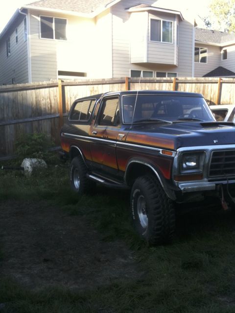 1979 Ford Bronco - A 1978 Ford Bronco with a distinctive stripe pattern sits in a grassy yard.