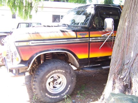 1979 Ford Bronco - A lifted 1979 Ford Bronco with a distinctive flame paint job is parked outdoors next to a large tree.