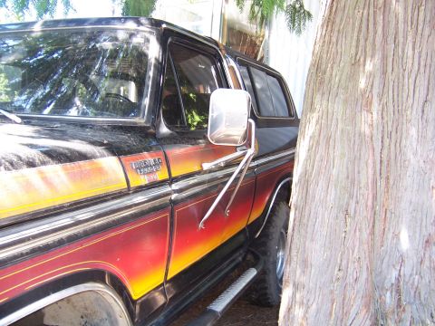 1979 Ford Bronco - Side view of a classic Ford Bronco with a distinctive stripe pattern, partially obscured by a tree.