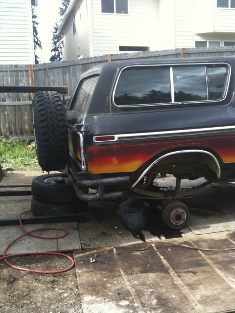1979 Ford Bronco - This 1979 Ford Bronco is seen from the rear, a spare tire and a custom bumper, possibly during a build process.