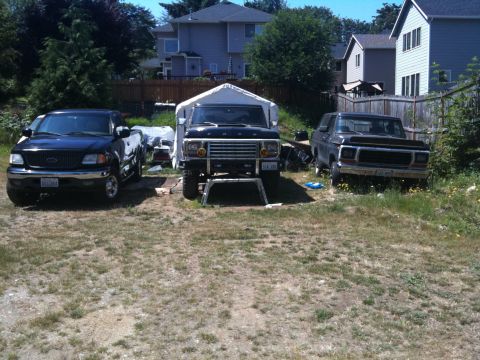 1979 Ford Bronco - Three trucks are parked in a grassy yard with houses in the background.