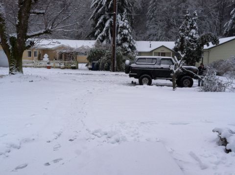 1979 Ford Bronco - A black Ford Bronco sits in the snow, with a person attending to a fallen tree branch.