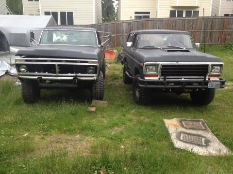 1979 Ford Bronco - Two Ford trucks, a Bronco and an F-Series, are parked side-by-side in a yard.