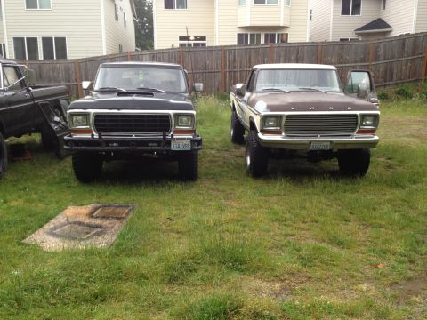 1979 Ford Bronco - Two classic Ford trucks are parked side-by-side in a residential yard.