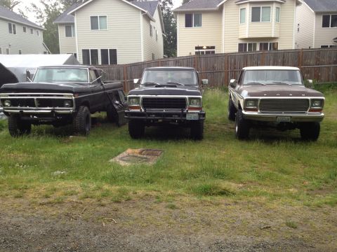 1979 Ford Bronco - Three trucks are parked in a grassy area in front of houses. The truck on the right is a 1977 Ford F-150.