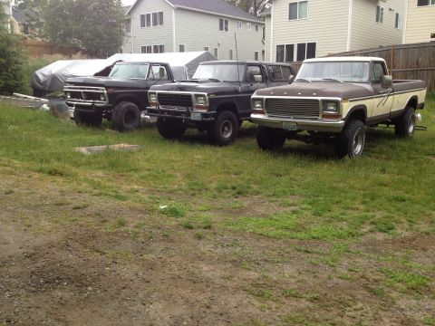 1979 Ford Bronco - Three vintage Ford trucks are parked in a yard, with the closest being a 1979 model.