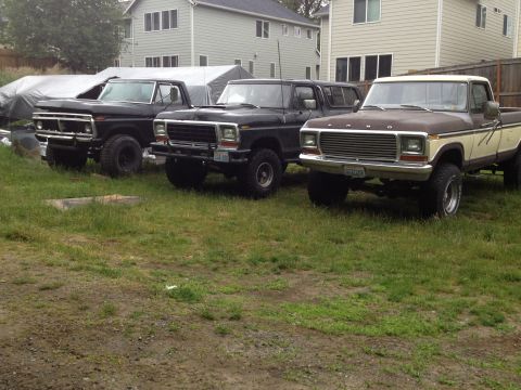 1979 Ford Bronco - Three Ford trucks, including a 1979 Bronco, are parked in a yard. The Bronco is black.