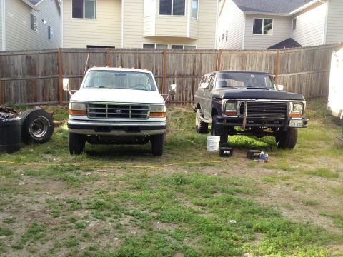 1979 Ford Bronco - A black 1970s Ford Bronco and a white Ford truck are parked in a yard with a wooden fence.