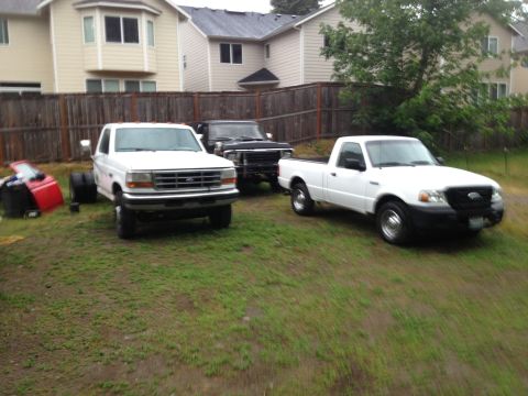 1979 Ford Bronco - Three pickup trucks are parked in a residential yard.