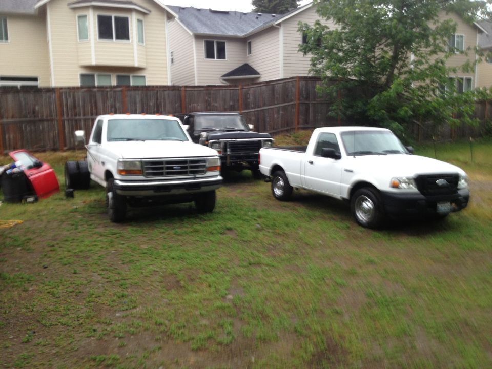 White Ford pickup, black pickup, and white Ford Ranger pickup parked in a grassy yard with houses in the background