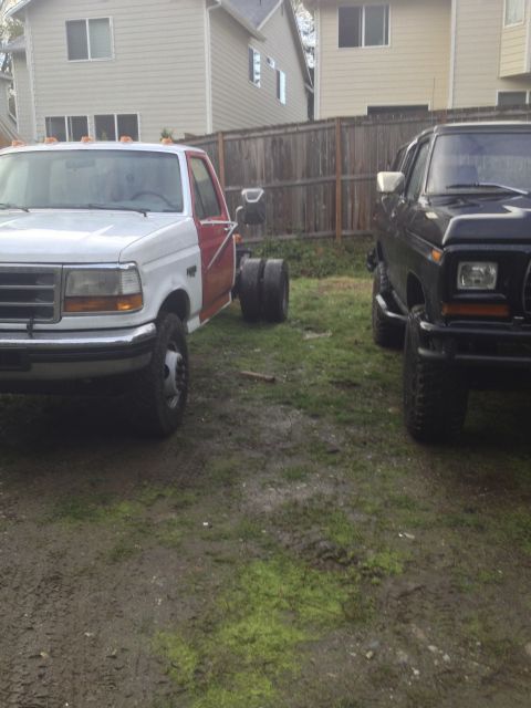 1979 Ford Bronco - Two trucks, one a classic Ford Bronco, are parked in a grassy yard.