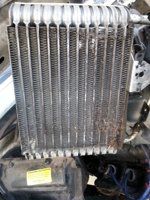 1992 Ford Bronco - while I have everything pulled apart, I wanted to check the evaporator they can accumulate a lot of garbage. other then some crud in the bo…