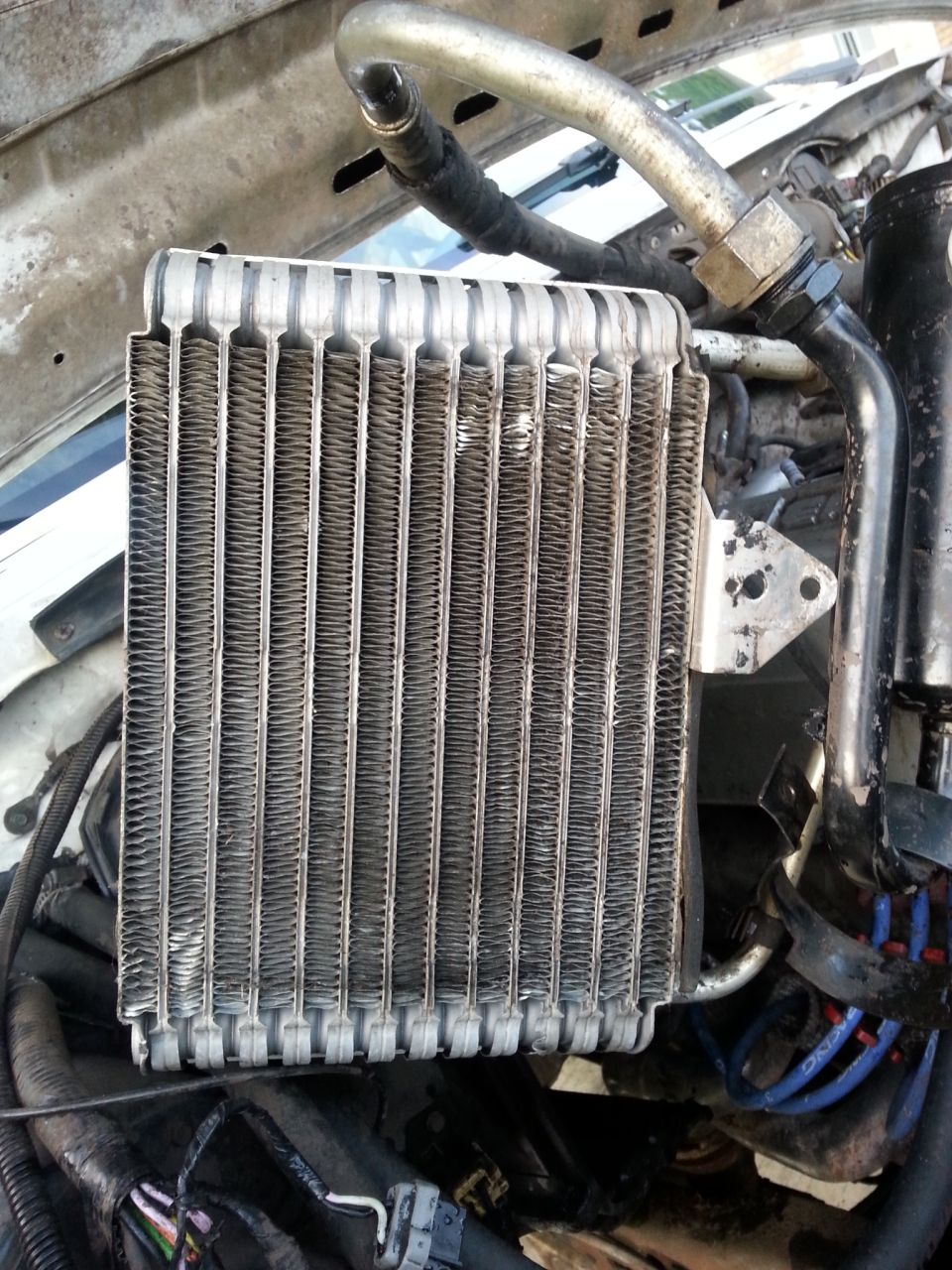 flushed from the back with water and blown with compressed air..looks good.