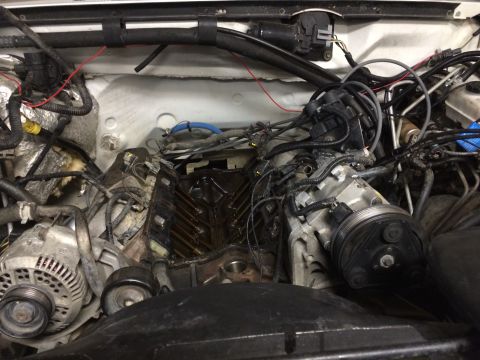 1996 Ford Bronco - Close-up view of a vehicle's engine bay, showing various mechanical components and wiring.