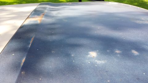 1984 Ford Bronco - The hood of a vehicle shows signs of wear and rust.
